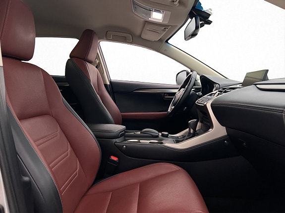 Lexus NX300h 27 of 30