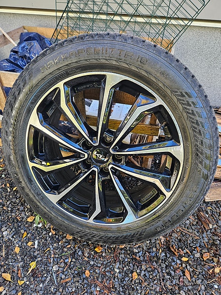 Kia EV6 3 of 3