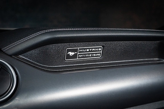 Ford Mustang 18 of 28