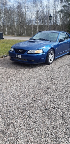 Ford Mustang 12 of 14