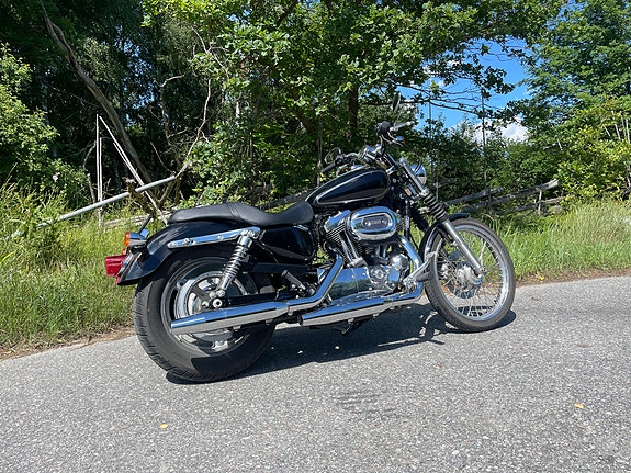 Harley-Davidson Sportster XL1200C 3 of 5