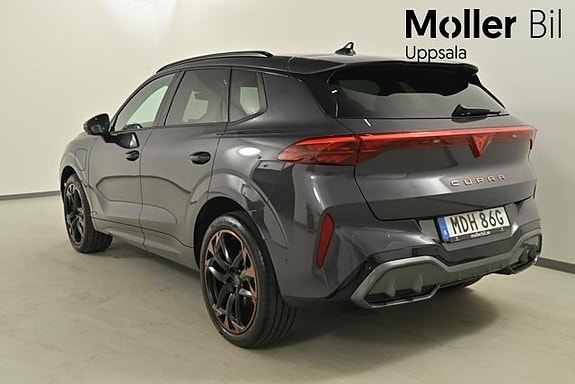 Cupra Terramar 8 of 14