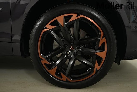 Cupra Terramar 10 of 14