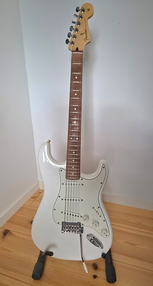 Fender Stratocaster Player (2021)