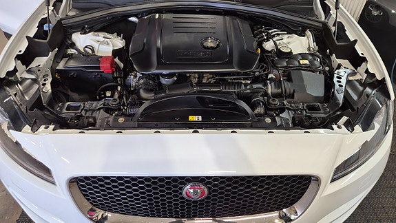 Jaguar F-PACE 12 of 19