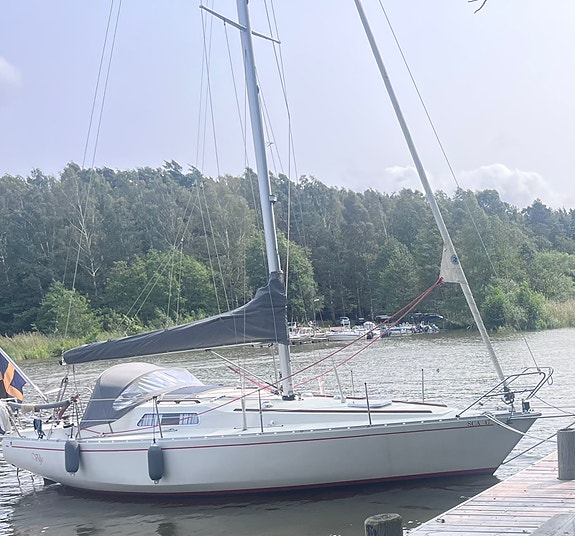 Albin Scampi — View photo 1