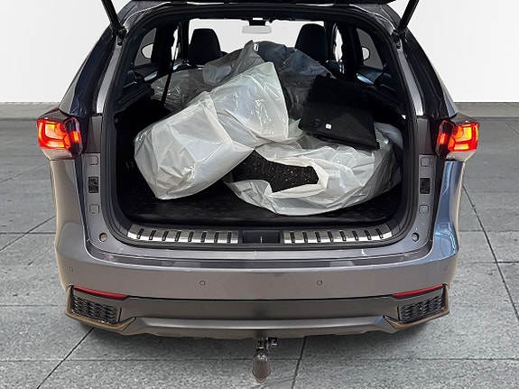 Lexus NX300h 10 of 10