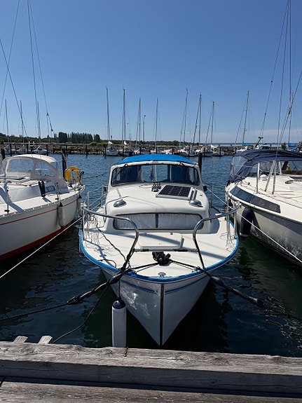Albin 25 Deluxe — View photo 1