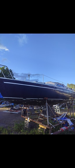 Winga 24 — Vedi foto 1