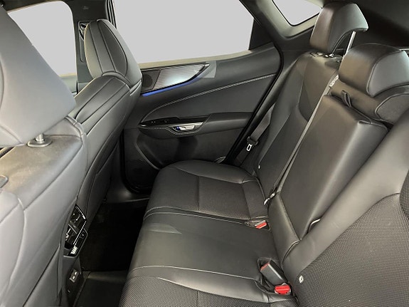 Lexus NX450h+ 11 of 19