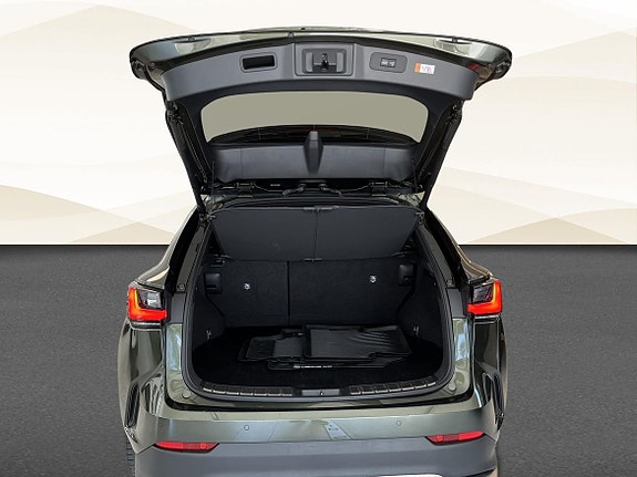 Lexus NX450h+ 13 of 19