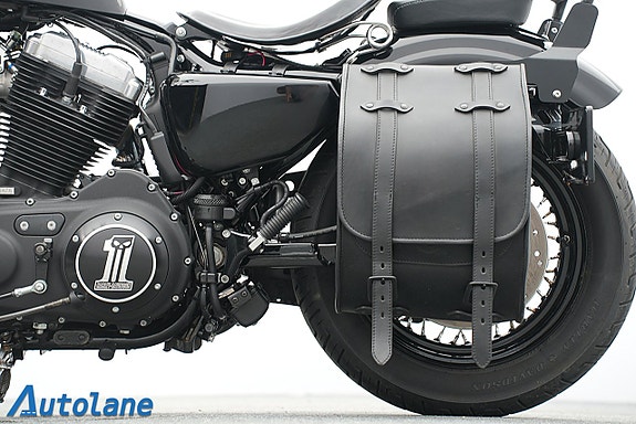 Harley-Davidson Forty-Eight *Screamin' Eagle 15 of 29