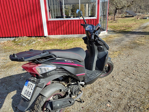 Motocr T-rex 3 of 3