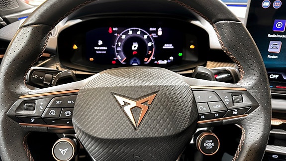 Cupra Terramar 18 of 21