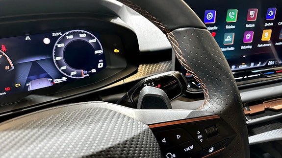 Cupra Terramar 19 of 21