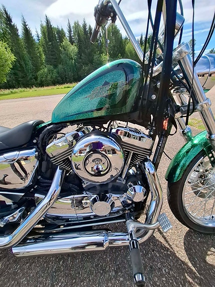 Harley-Davidson Seventy-Two 4 of 5