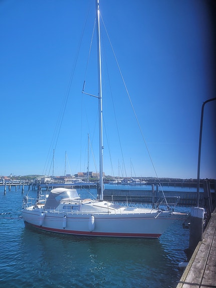 Albin Cumulus — View photo 1