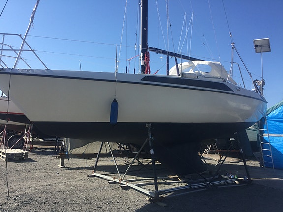 MAXI 95 — Vedi foto 1