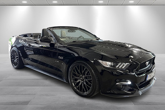 Ford Mustang 11 of 13