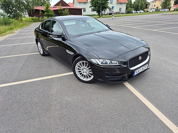 Jaguar 2016