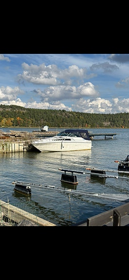Sea ray 268 sundancer 3 of 9