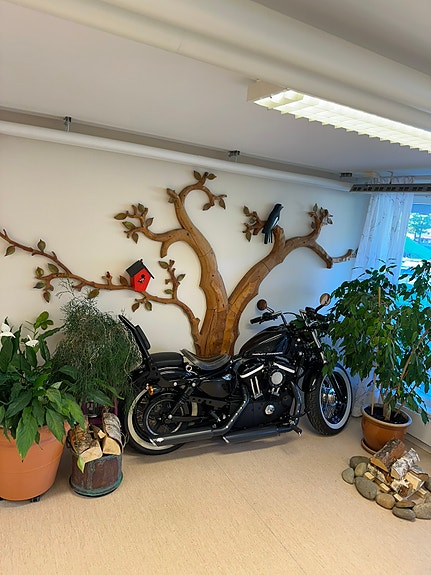 Harley-Davidson Forty-Eight 3 of 3