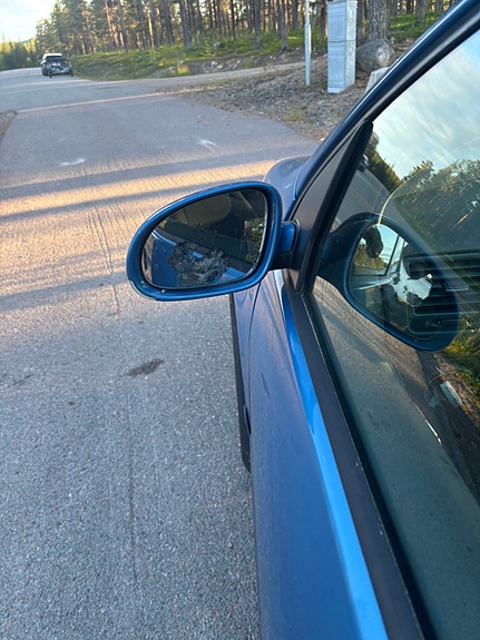 Volkswagen Golf V 11 of 12