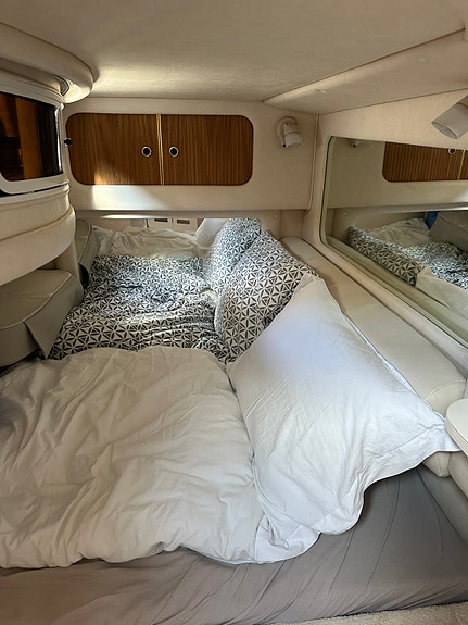 Sea Ray 290 9 of 11
