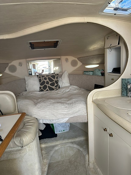 Sea Ray 290 5 of 11