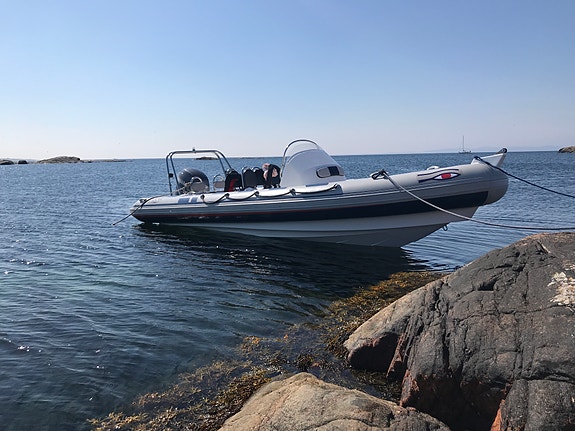 Ribeye S-650 3 of 5