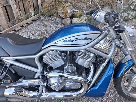 Harley-Davidson VRSCR V-Rod,Streetrod 4 of 20