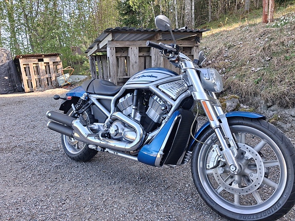 Harley-Davidson VRSCR V-Rod,Streetrod 2 of 20
