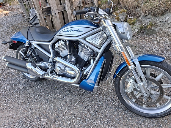 Harley-Davidson VRSCR V-Rod,Streetrod 10 of 20
