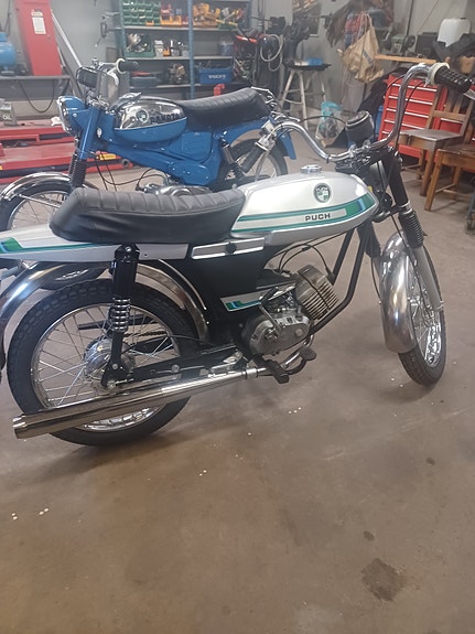 Puch Dakota / montana 2 of 6