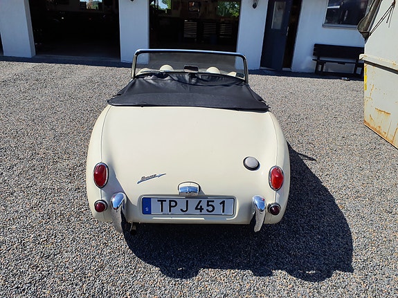 Austin Healey Sprite 4 of 4