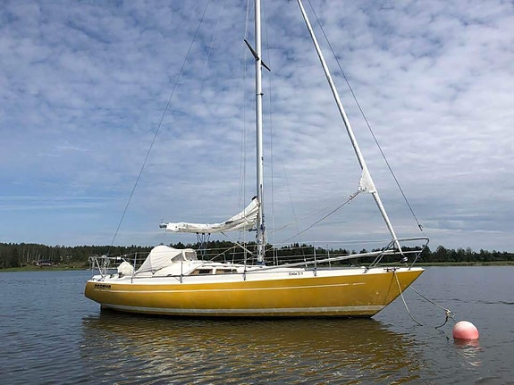 B31 — Vedi foto 1
