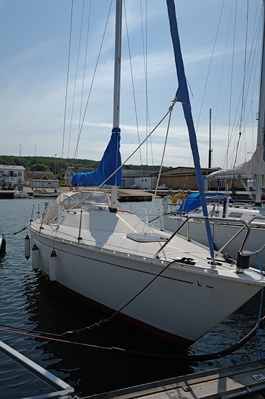 CIRRUS 7.8 (ALBIN) — Vedi foto 1