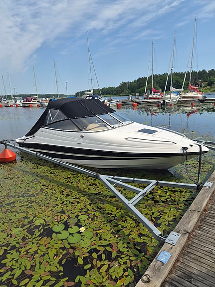 Campion Allante 565 2006 3 of 10