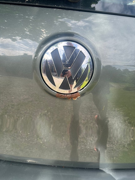 Volkswagen Golf V 5 of 6