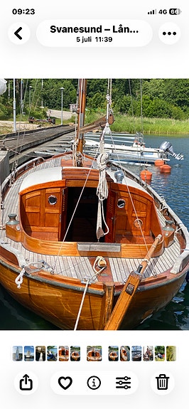 Koster i Mahogny 4 of 4