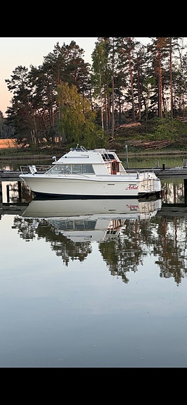 Carver Santa Cruz 26 Flybridge 9 of 11