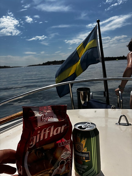 Fantastisk familjesnipa (måste bort) 5 of 9