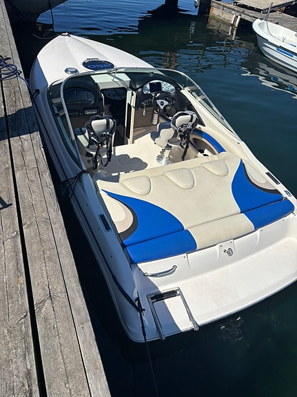 Stingray 220sx Vortec 350 -18 2 of 5
