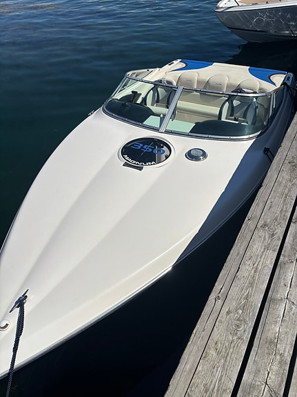 Stingray 220sx Vortec 350 -18 3 of 5