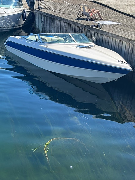 Stingray 220sx Vortec 350 -18 4 of 5