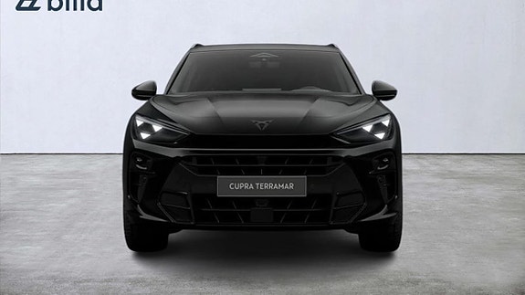 Cupra Terramar 6 of 12