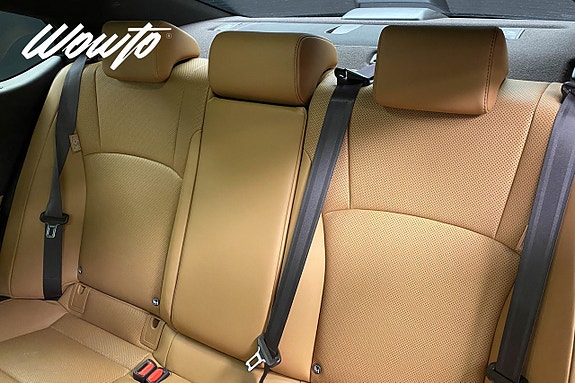 Lexus ES300h 12 of 19