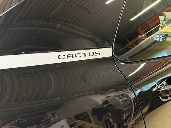 Citroen C4 Cactus 10 of 18