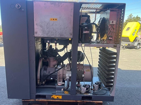 Atlas Copco GA 30+ FF Compressor, Kompressor 6 of 7