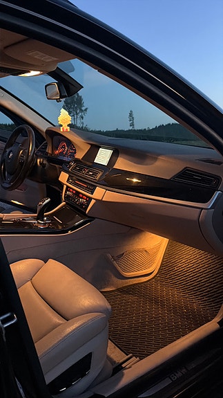 BMW 530d 11 of 18
